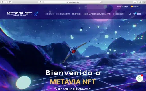 Mevia NFT Diseño web Tu Negocio WB