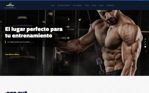 diseño web Tu Negocio WB