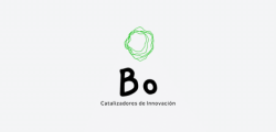 Bo-diseño-web-tu-negocio-wb