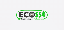 ecossingenieria-diseño-web-tu-negocio-wb